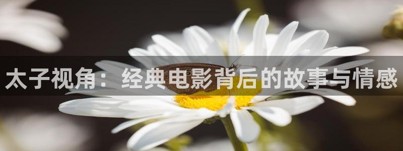午夜皇片