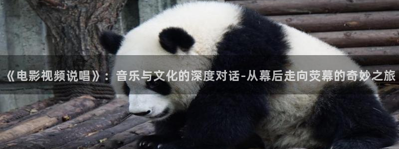 午夜伦锂片