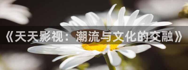 午夜国产免费直播间av