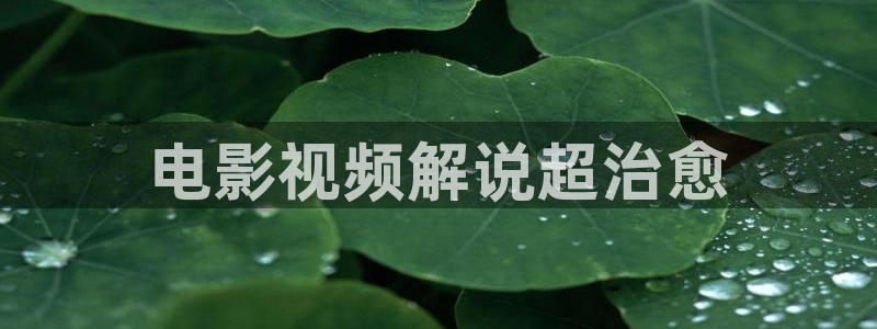 午夜电影一区二区