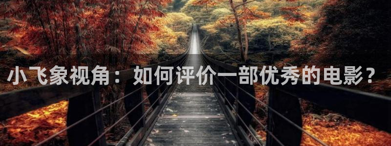aa午夜电影