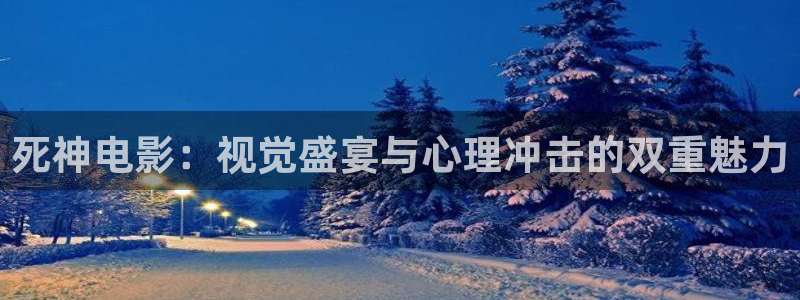 午夜精品久久久久久毛片