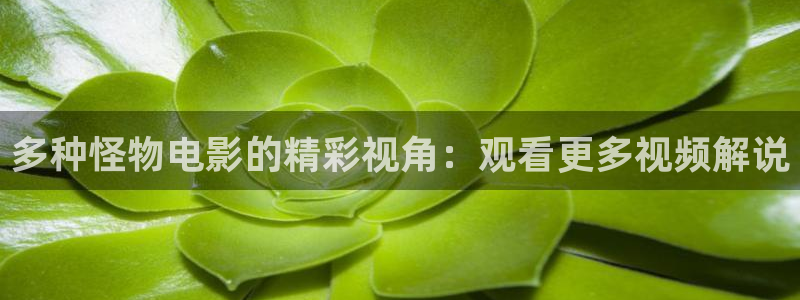 爱神马午夜影院