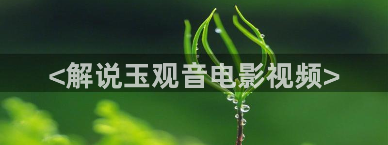 午夜电影天堂网