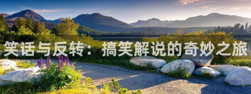 8050网午夜电影在线观看