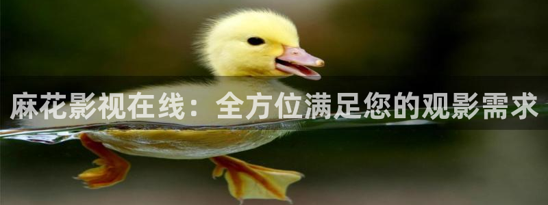 91午夜在线播放
